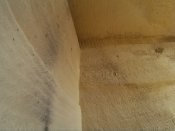 3051_800.jpg