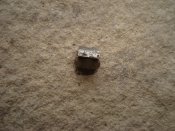 DSC09927.JPG
