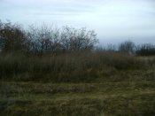 DSC04027.JPG