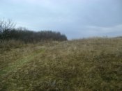 DSC04028.JPG