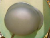 DSCN0391.jpg