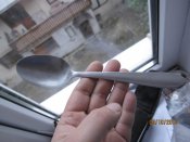 IMG_2228.jpg