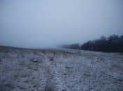 IMG_20151121_104753[1].jpg