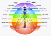 1558-03-varnasrama-dharma-and-human-body.jpg