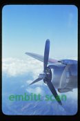 Skymaster Wing.jpg