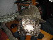 IMGP3538.JPG