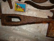 DSC05786.JPG