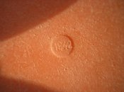 Изображение 059.jpg