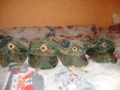 DSC01452.jpg