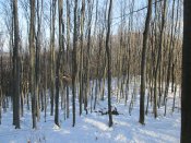 IMG_2434.JPG