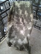 2015-11-23 15.24.28.jpg