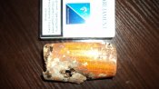 DSC00722.jpg
