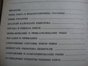 DSC06498.JPG