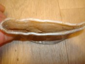 DSC04628.JPG