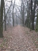 IMG_4868.JPG