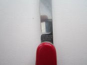 IMG_0487.JPG
