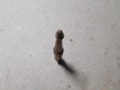DSCN8706.JPG