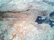 IMG0357A.jpg