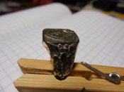 DSCN0193.JPG