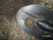 SDC12419.jpg