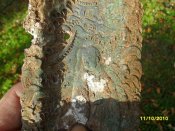 SDC12422.jpg