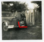 Adler Auto Wagen Wappen Kennzeichen.jpg
