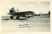 Staffelabzeichen Legion Condor Spanien.JPG