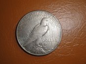 DSC07201.JPG