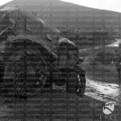 10_Grecia 11-1940.jpg