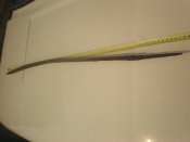 P4020119.JPG