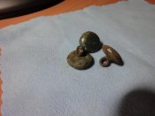 DSC00621.jpg