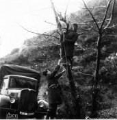 3_Operazione di stendimento di fili elettrici o telefonici il 15 gennaio 1941.jpg