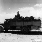 6_Camion militare in marcia verso Sollum nell'estate 1942.jpg