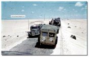 9_GERMAN-SOLDIERS-GERMAN-ARMY-WW2-COLOR--north-africa.jpg