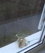 DSC07522.JPG