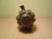 DSC01019.jpg