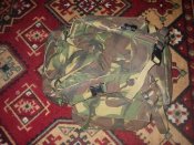 NL Backpack 1.jpg