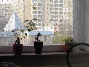 IMG_2749.JPG