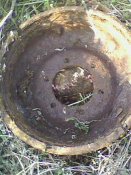 IMG0823A.jpg