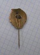 CIMG9462.JPG