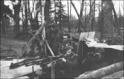 мг-7.jpg