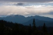 IMG_6425.jpg