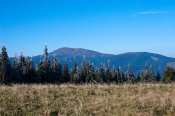 IMG_6241.jpg