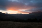 IMG_6307.jpg