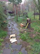 IMG_6050.JPG