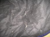 Изображение 007.jpg