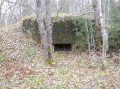 DSCN0366.jpg