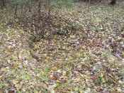 DSCN0372.jpg