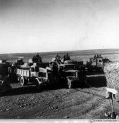8_Carri armati autotrasportati presso Tobruch nel giugno 1942.jpg