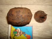 DSC05950.JPG